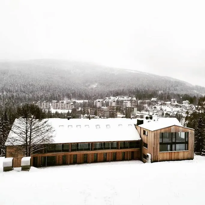 Apartman_Alpina Špindlerŭv Mlýn 0*,